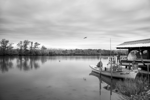 Delacroix, 3531 by Eric J. Nunez | Signed / Limited Edition archival pigment print photo on fine art paper Delacroix, 3531
